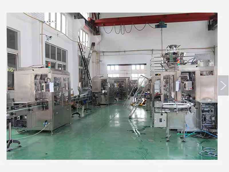 Shanghai Npack Automation Equipment Co., Ltd. 제조업체의 생산 라인